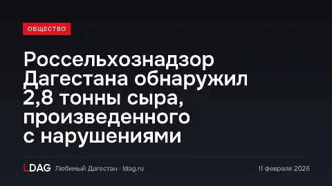 Россельхознадзор Дагестана обнаружил 2,8 тонны сыра, произведенного с нарушениями