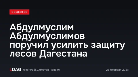 Абдулмуслим Абдулмуслимов поручил усилить защиту лесов Дагестана