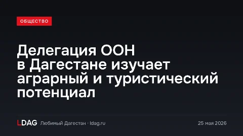 Делегация ООН в Дагестане изучает аграрный и туристический потенциал
