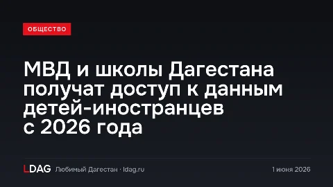МВД и школы Дагестана получат доступ к данным детей-иностранцев с 2026 года