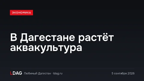 В Дагестане растёт аквакультура