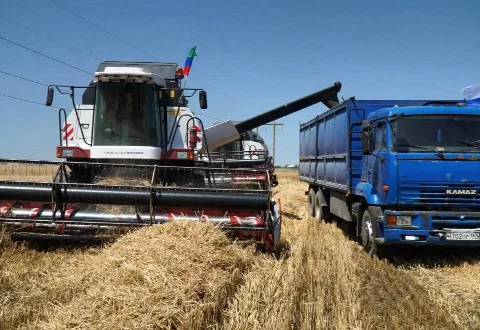 В Дагестане собрали около 55 тыс. тонн озимых зерновых культур