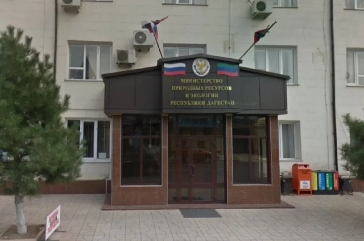Минприроды Дагестана объяснило свою роль в борьбе с самостроями после обысков