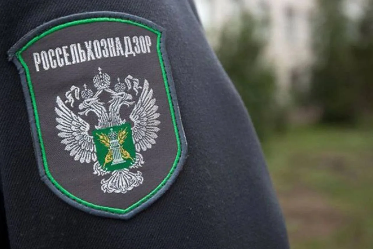 Жители Магарамкентского района Дагестана сообщили о нашествии мраморного клопа