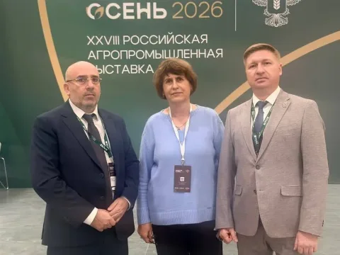 В Дагестане выявили очаги мраморного клопа, готовятся меры по борьбе с вредителем