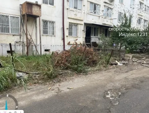 Факт незаконной вырубки деревьев выявлен в Дербенте сотрудниками Госэконадзора