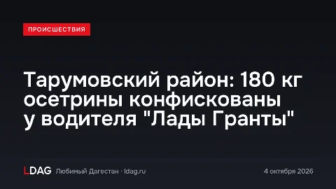 Тарумовский район: 180 кг осетрины конфискованы у водителя "Лады Гранты"