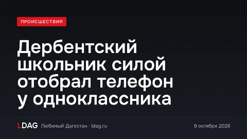 Дербентский школьник силой отобрал телефон у одноклассника