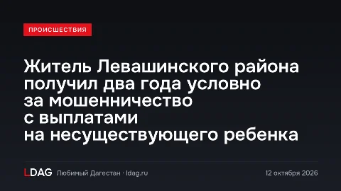 Житель Левашинского района получил два года условно за мошенничество с выплатами на несуществующего ребенка
