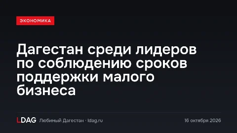 Дагестан среди лидеров по соблюдению сроков поддержки малого бизнеса