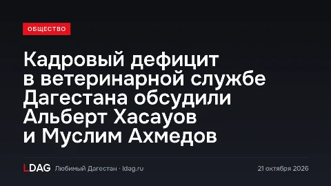 Кадровый дефицит в ветеринарной службе Дагестана обсудили Альберт Хасауов и Муслим Ахмедов
