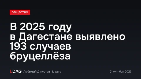 В Дагестане в 2025 году зарегистрировано 193 случая заражения бруцеллезом от животных