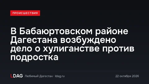 В Бабаюртовском районе Дагестана возбуждено дело о хулиганстве против подростка