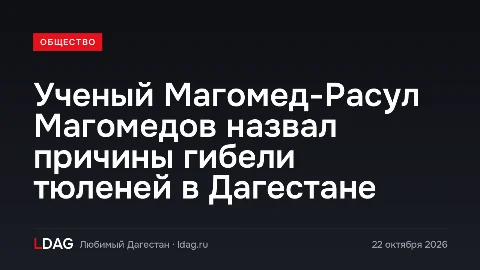 Ученый Магомед-Расул Магомедов назвал причины гибели тюленей в Дагестане