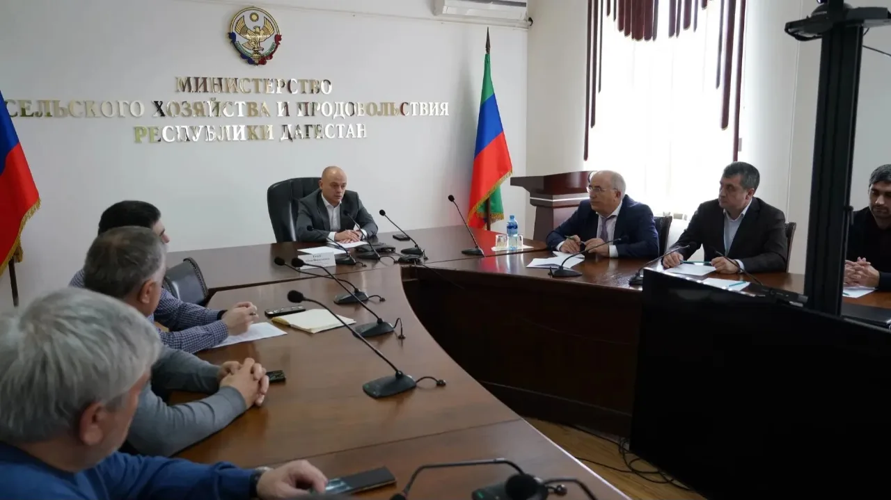 В Дагестане обсудили проблемы тепличных хозяйств и господдержку