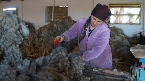 Овцеводство Дагестана является важной отраслью экономики республики