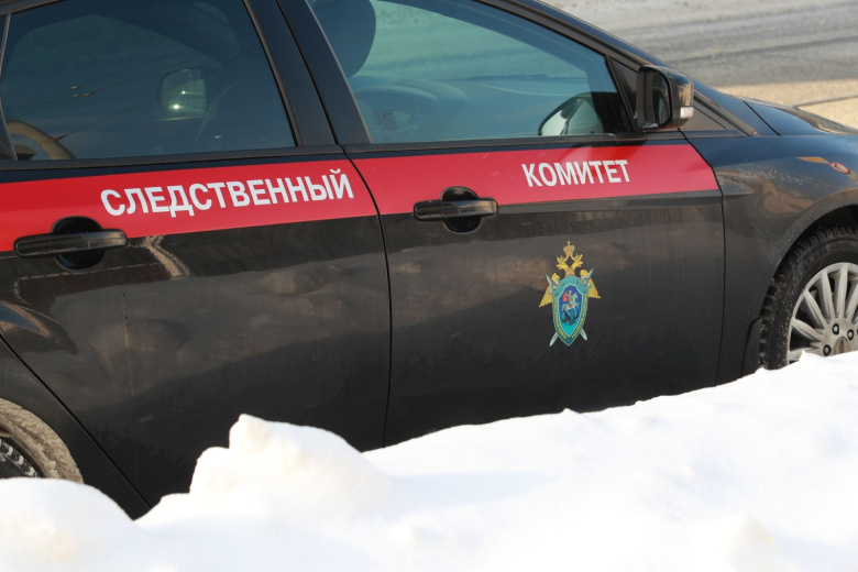 СК начал проверку после смерти 28-летней россиянки с симптомами гриппа